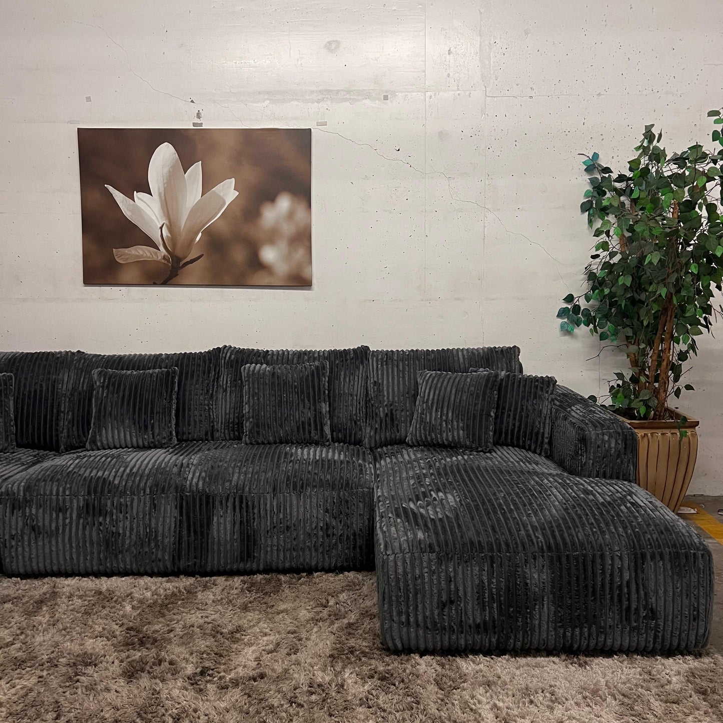 New Casa Bella U shaped sectional