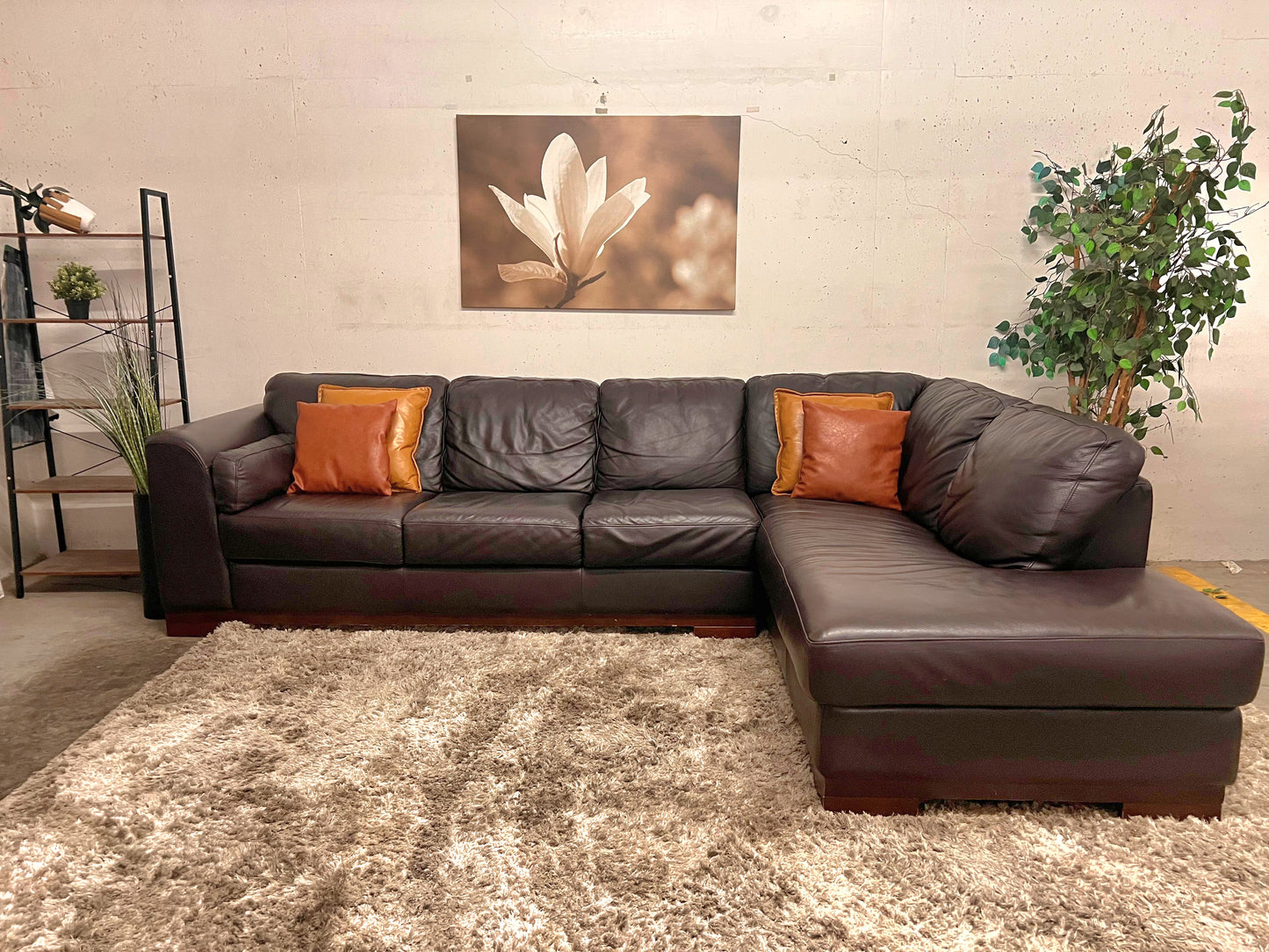Jag's Furniture genuine leather sectional