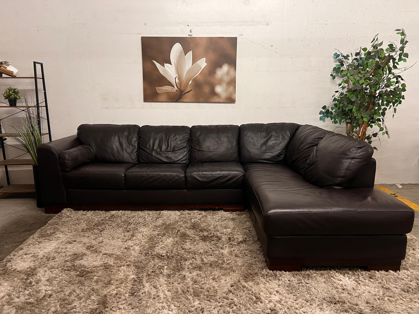 Jag's Furniture genuine leather sectional