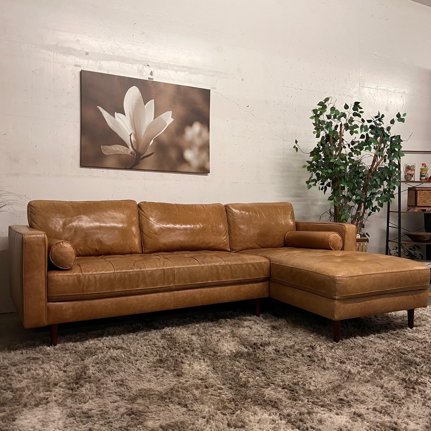 Structube kinsey leather sectional