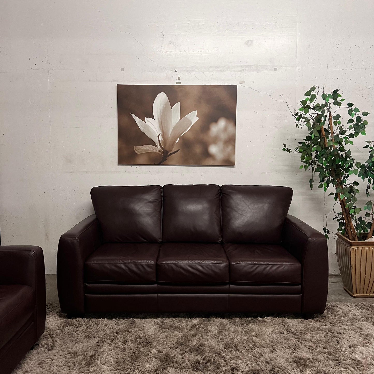 Campio furniture 3+2 Sofa and loveseat set.