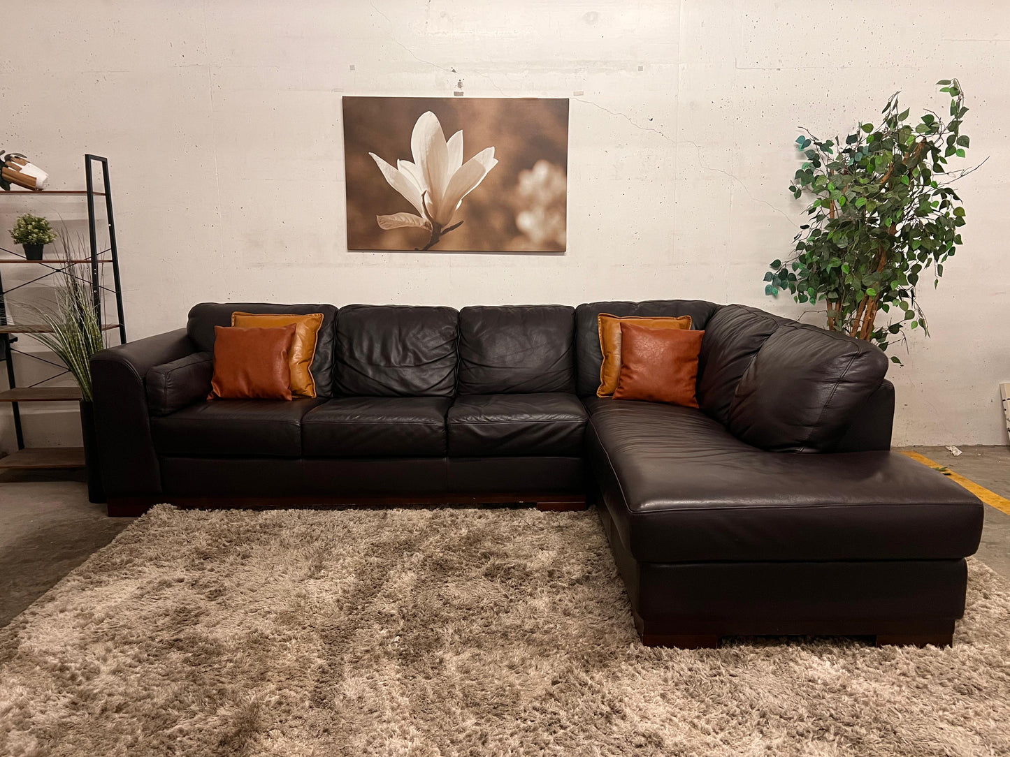 Jag's Furniture genuine leather sectional