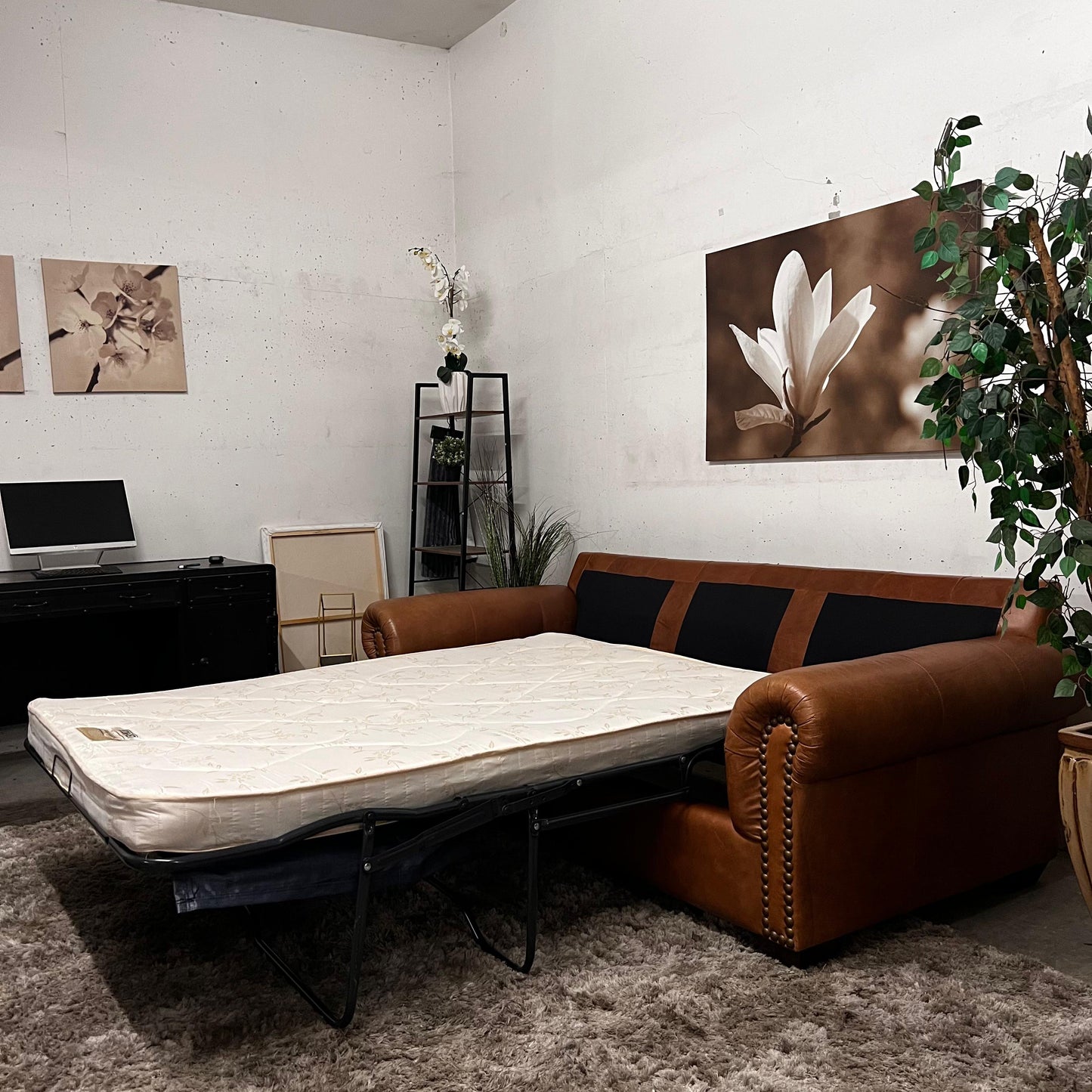 Deco-rest 3 seater sofa with a pull out bed