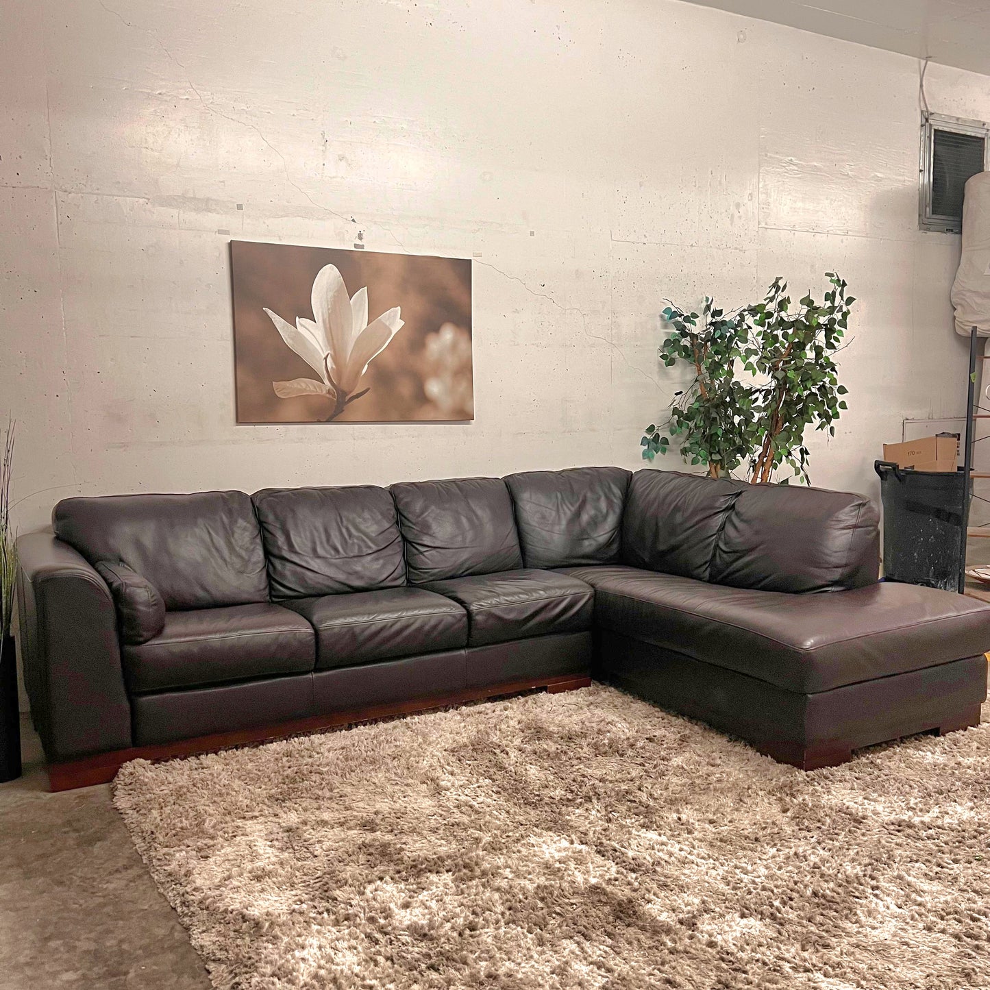 Jag's Furniture genuine leather sectional