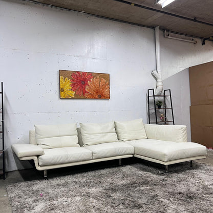 Sohome full grain leather sectional