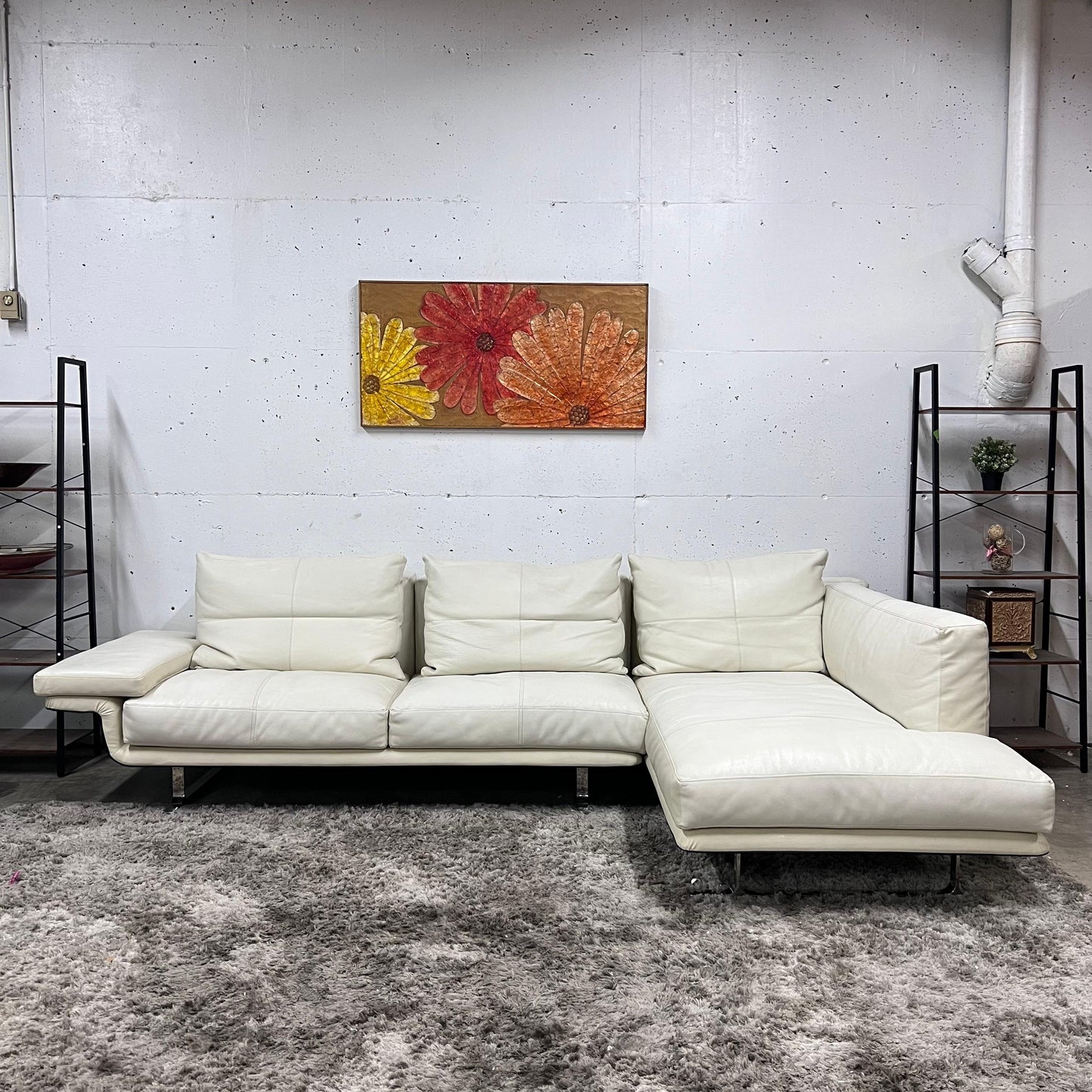 Sohome full grain leather sectional