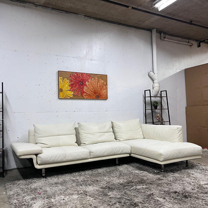 Sohome full grain leather sectional